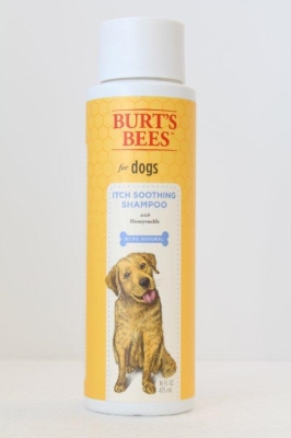 Fetch for Pets Burts Bees Anti Itch Shampoo, HONEYSUCKLE - 16OZ