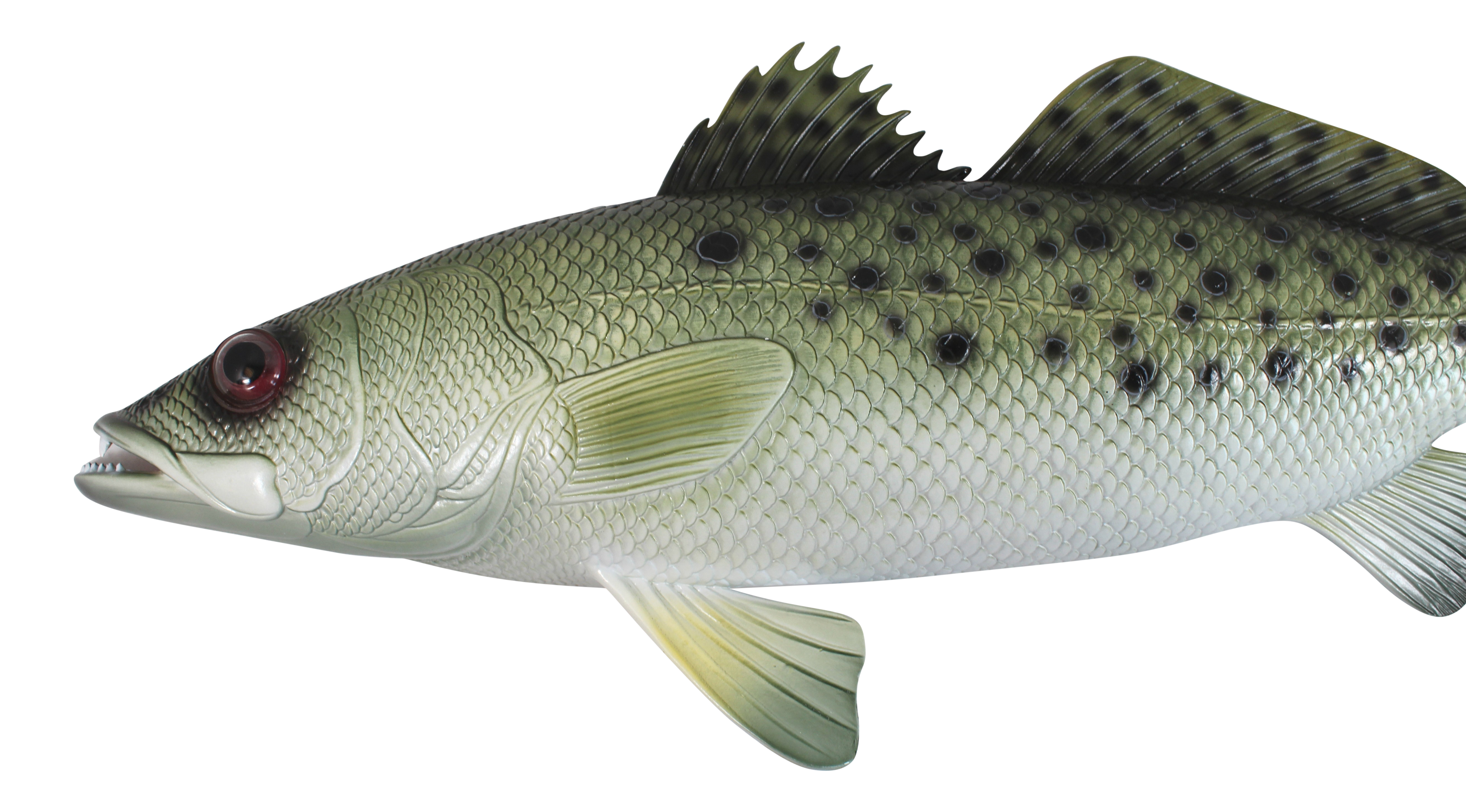 Charlotte International Spotted Sea Trout Replica Nautical Saltwater Fishing Wall Decor 28 Inches