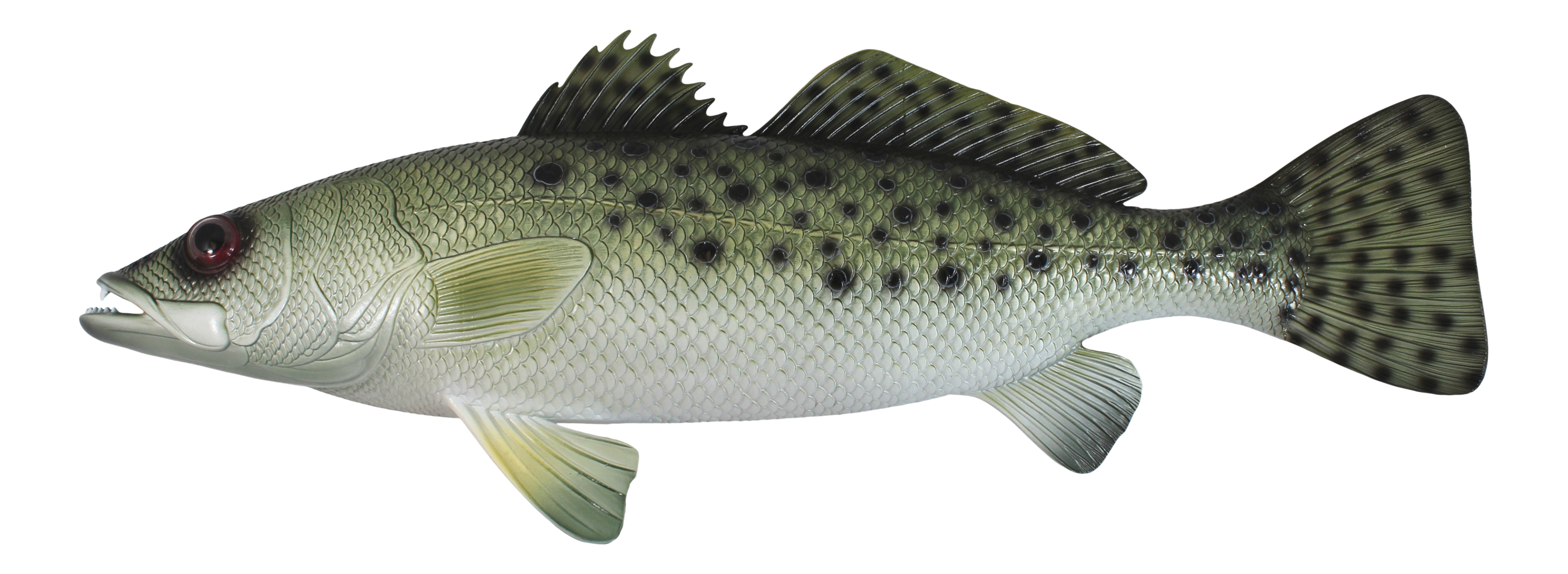 Charlotte International Spotted Sea Trout Replica Nautical Saltwater Fishing Wall Decor 28 Inches
