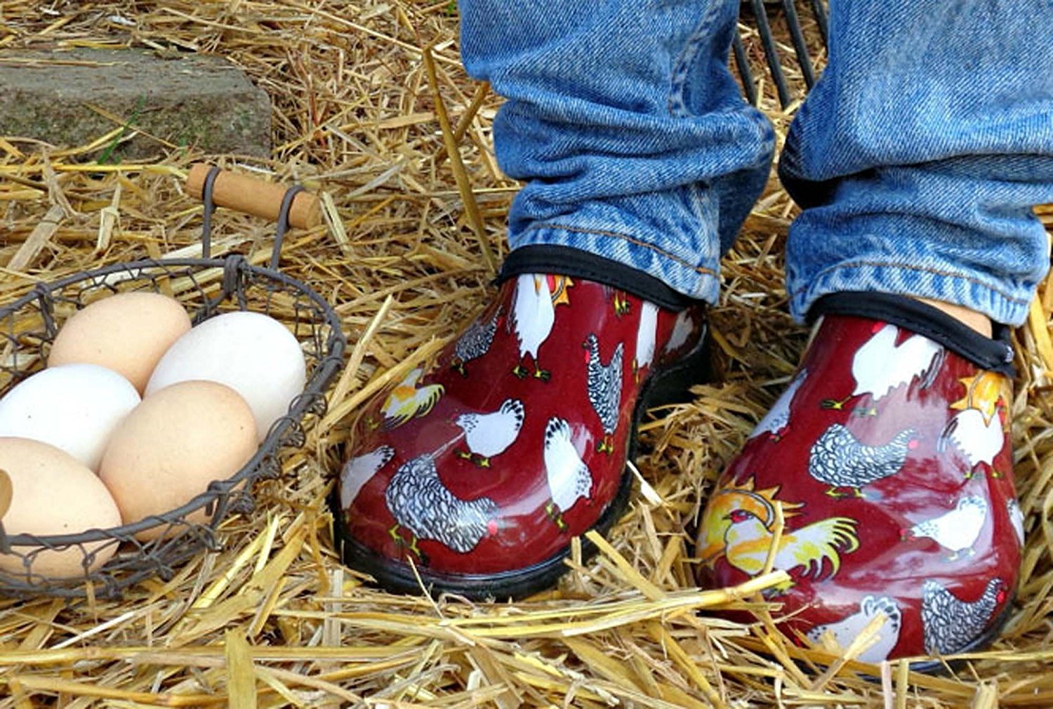 Sloggers 5116cbr08 Women S Chicken Print Garden Shoes Barn Red