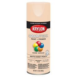 Cool Spray Paint Ideas That Will Save You A Ton Of Money Krylon H2o Latex Spray Paint Colors Cool Spray Paint Ideas That Will Save You A Ton Of Money Krylon H2o Latex Spray Paint Colors