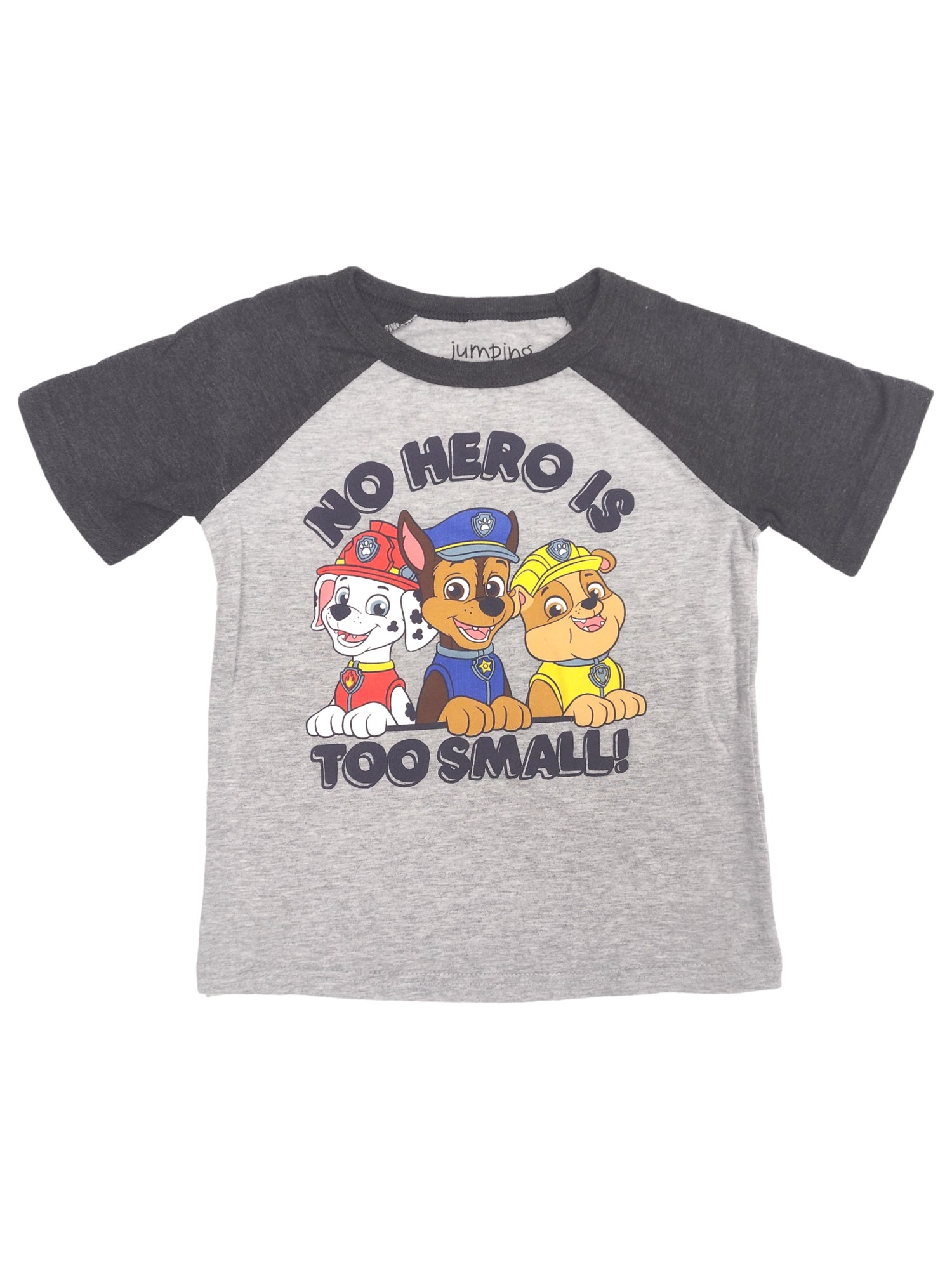 Jumping Beans Paw Patrol Toddler Boys No Hero is too Small T-Shirt Tee Shirt