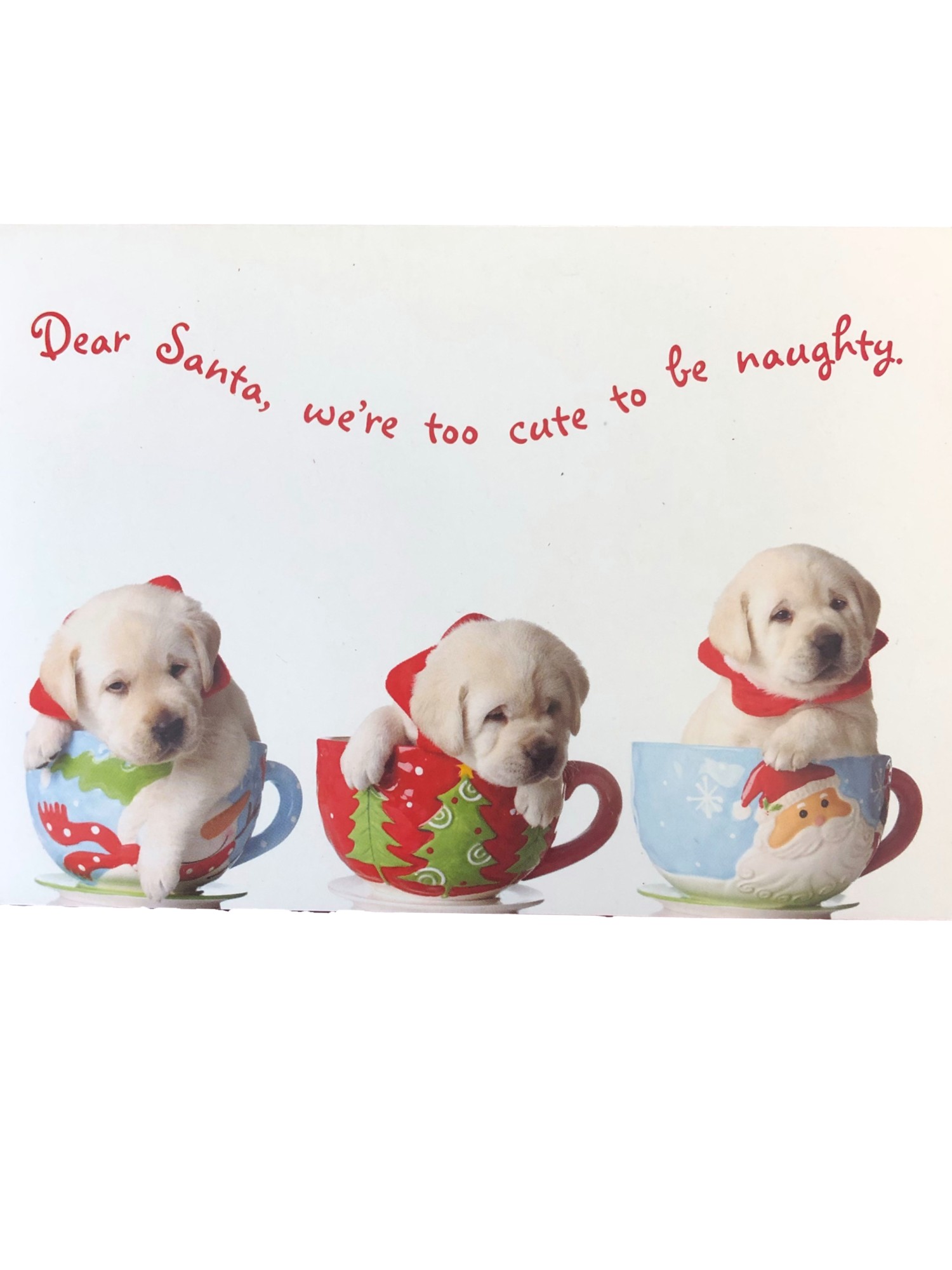 Trimmerry 16 Too Cute To Be Naughty Puppy Dog Holiday Christmas Cards