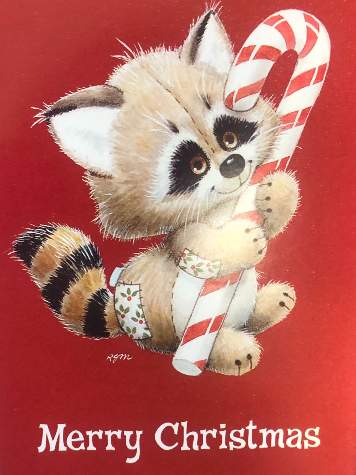 Trimmerry 16  Raccoon Candy Cane Holiday Christmas Cards