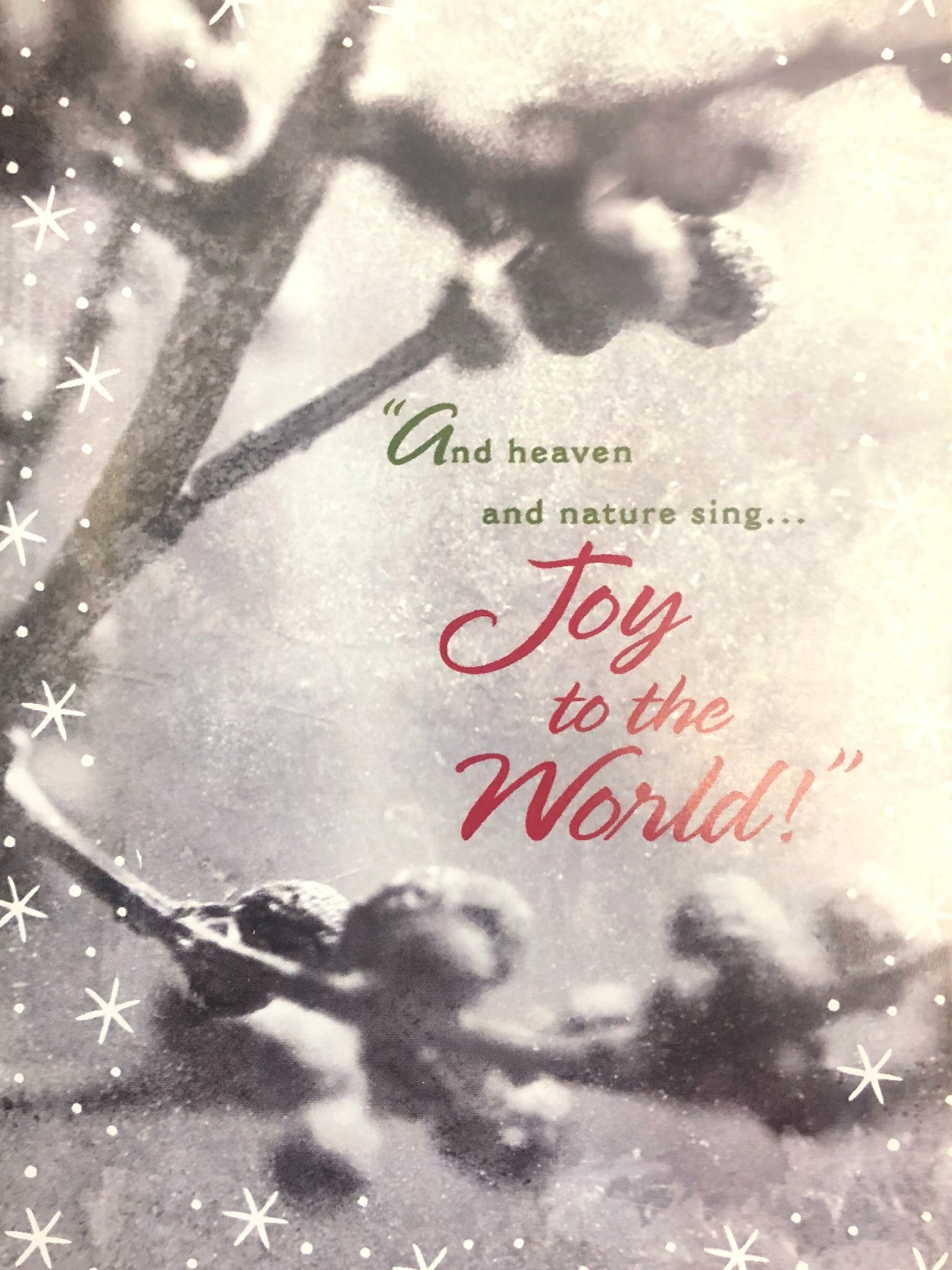 Trimmerry16 Joy To The World Christian Holiday Christmas Cards
