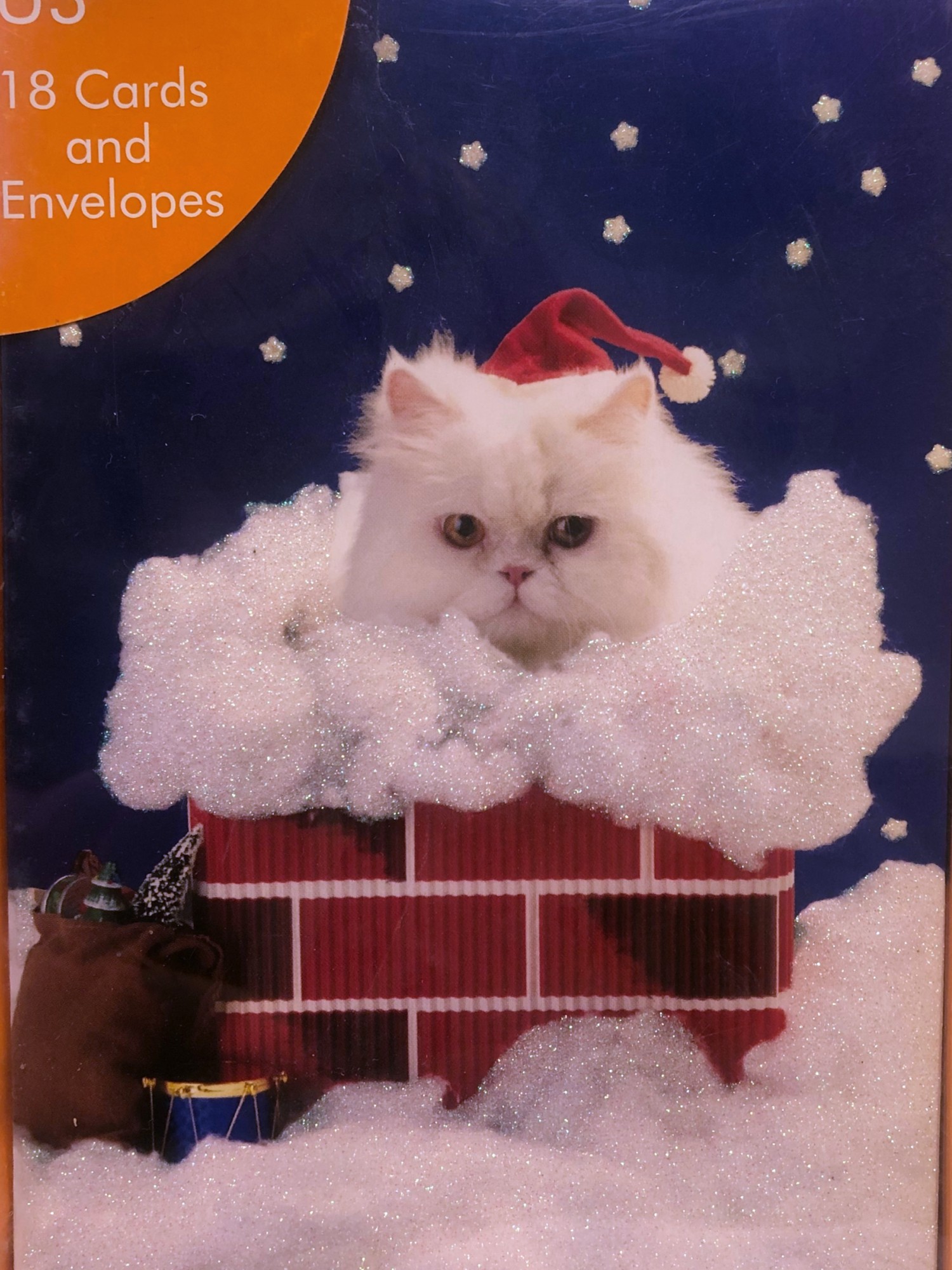 Jolly Holiday 18 Funny Kitty Cat Santa In Chimney Holiday Christmas Cards