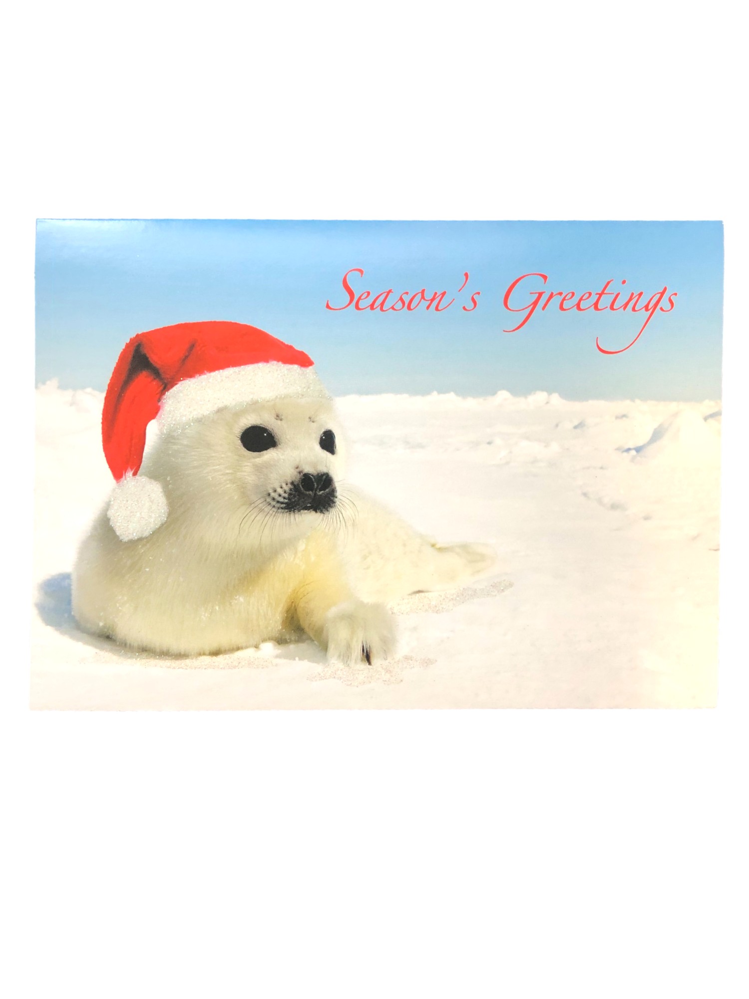 National Geographic 18 Baby Seal Seasons Greetings Santa Claus Christmas Cards