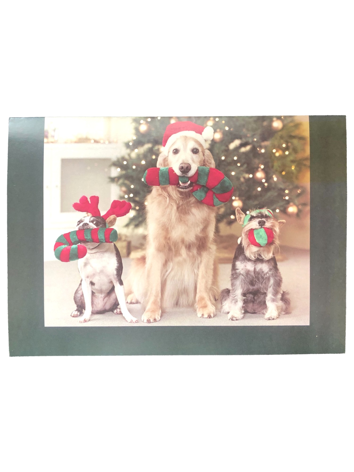Paper Magic 18 Puppy Dog Trio Reindeer Antlers Santa Hat Christmas Cards