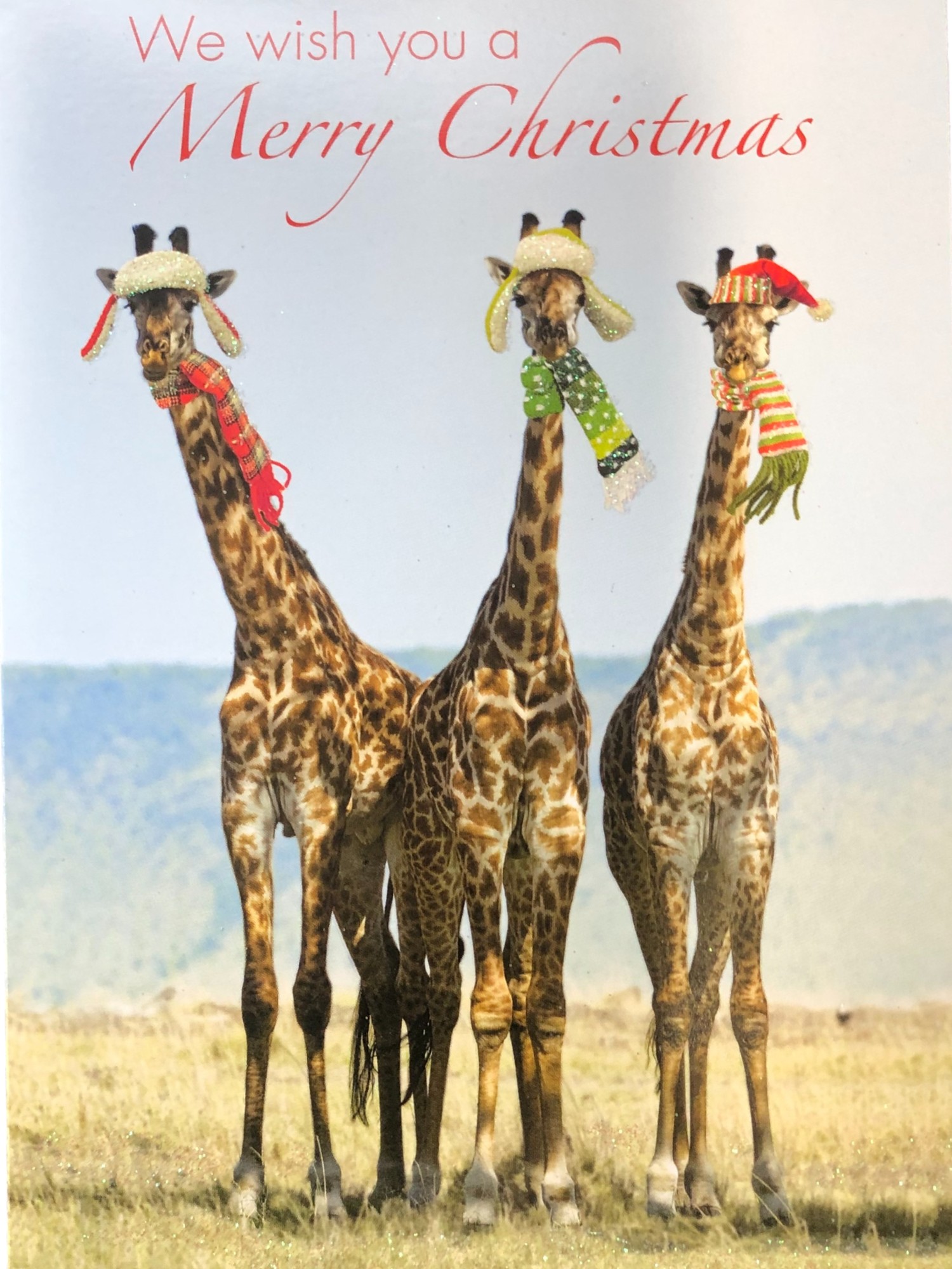 National Geographic 18 Giraffe Trio We Wish You A Merry Christmas Cards