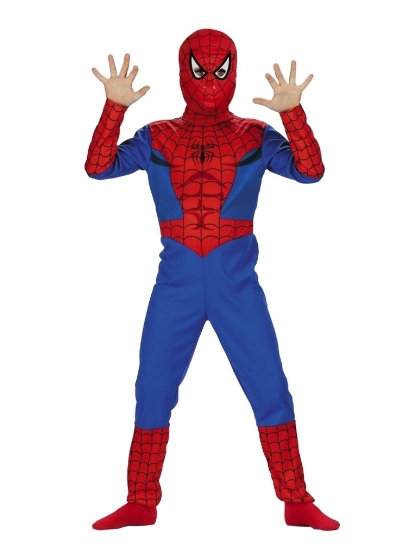 Marvel Comics Boys Spiderman Costume with Mask