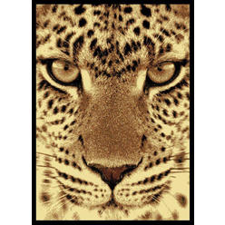 United Weavers Legends Area Rug 910-02750 Leopard Face Black Leopard Cheetah