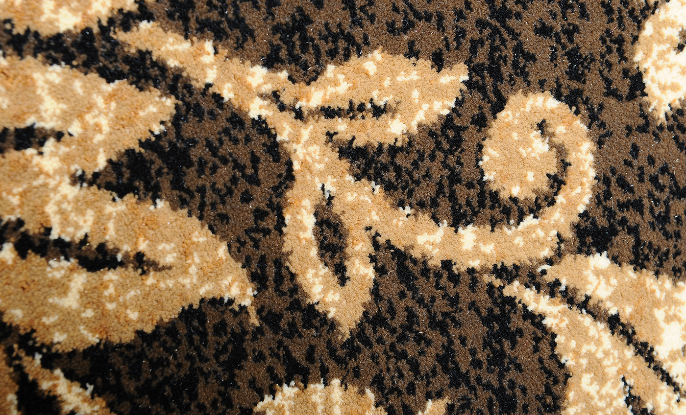 Home Dynamix Area Rugs Triumph Rug H1000 512 Brown Gold Home Dynamix Area Rugs Triumph Rug H1000 512 Brown Gold 1