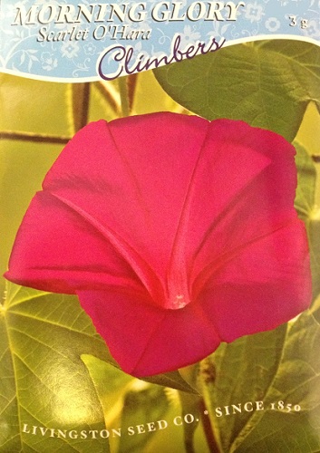 Hirts Gardens Hirts Gardens Scarlet Ohara Morning Glory Seeds 3 Grams Alternate Image Hirts Gardens Hirts Gardens Scarlet Ohara Morning Glory Seeds 3 Grams Alternate Image