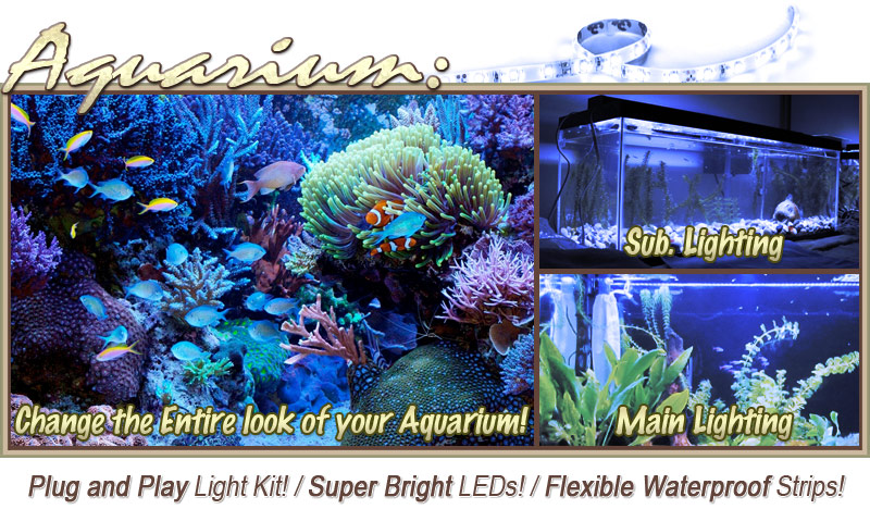 Biltek 3.3' ft Blue Aquarium Reef 455nm Blue Remote Controlled LED Strip Lighting SMD3528 Wall Plug - Main Lighting Sub Fresh Water