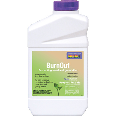 St Gabriel Organics Coupon Code Sephora Coupons 2018 Check Our For More Information And Get Special Offers St Gabriel Organics 80080 2 Milky Spore Grub Control Mix Pest Controller