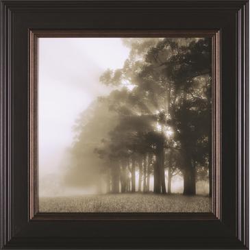 Art Effects Misty Forest
