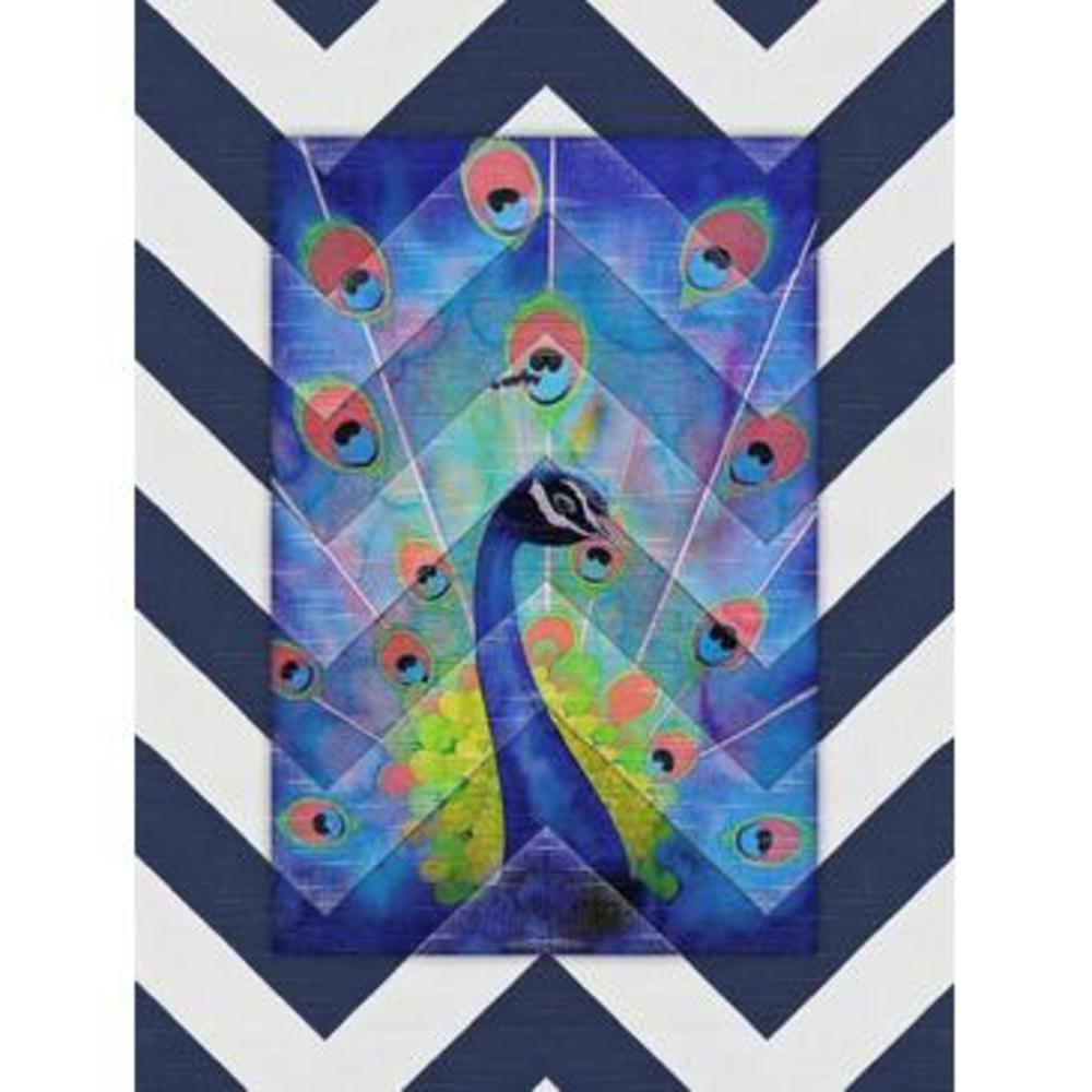 Obvious Place Art Lively Peacock 18x24 Canvas Wrapped Art