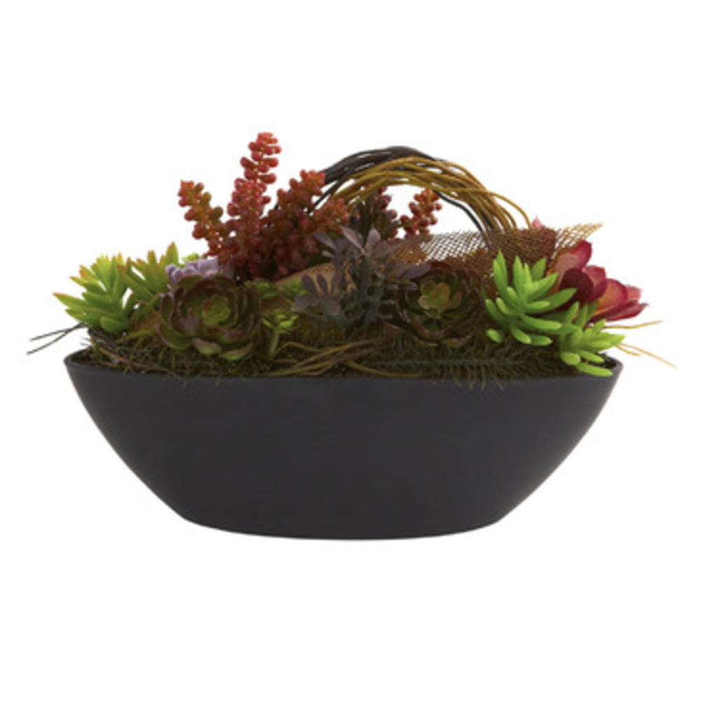 Nearly Natural Mixed Succulent with Oval Black Container