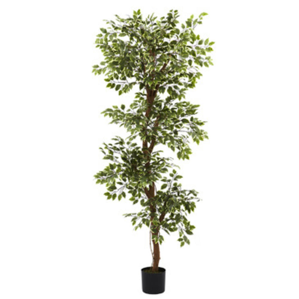 Nearly Natural 6' Variegated Ficus Tree