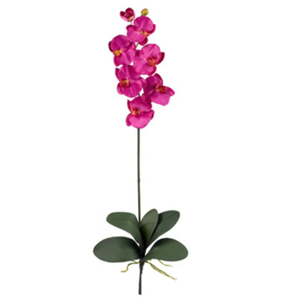 Nearly Natural Phalaenopsis Stem (Set of 12) in Beauty