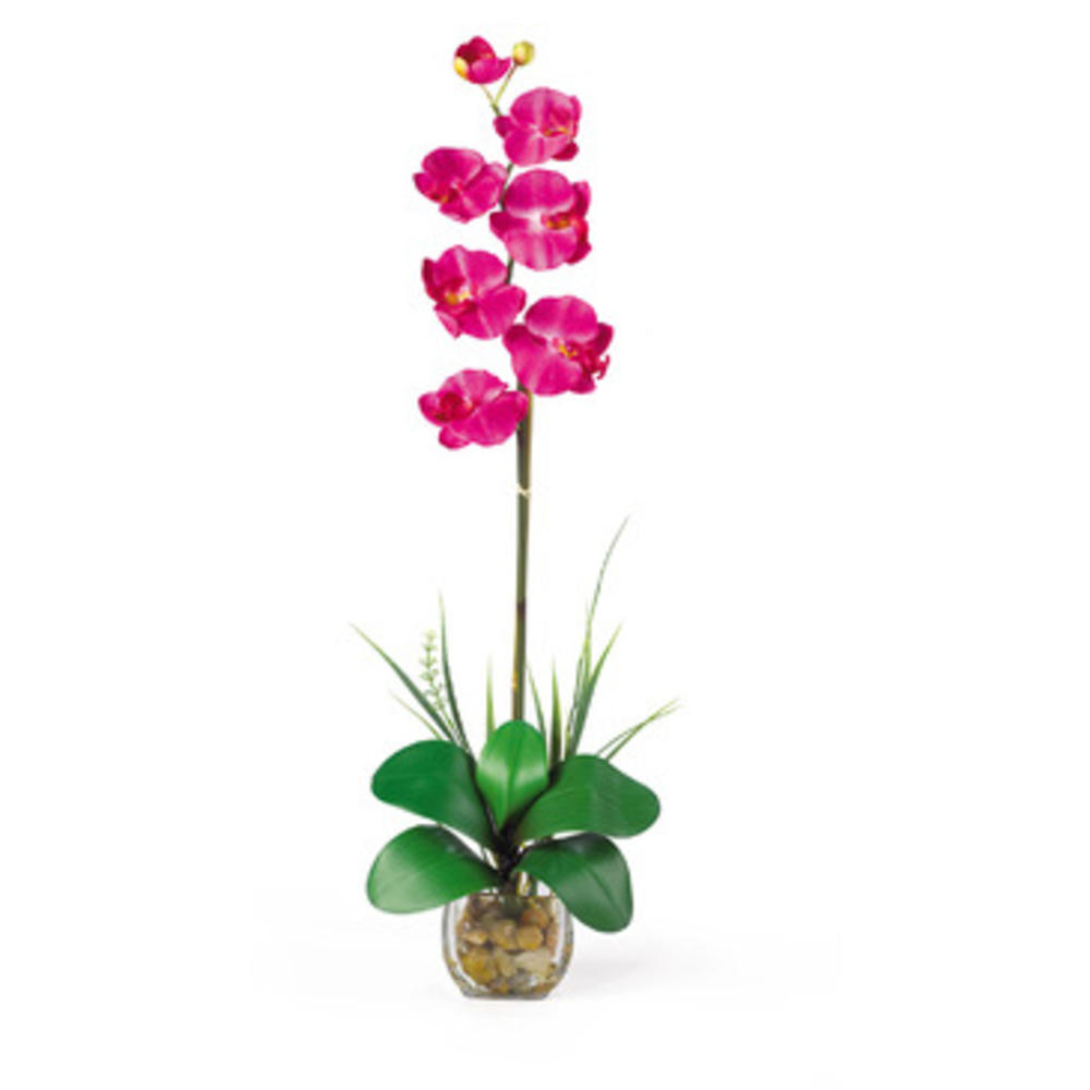 Nearly Natural Single Phalaenopsis Liquid Illusion Silk Flower Arrangement in Beauty