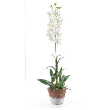 Nearly Natural Dendrobium w/White Wash Pot Silk Flower Arrangement in White