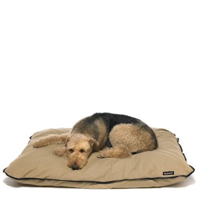 Bssn Bssn Basic Dog Bed Medium Tan Pet Beds Big Shrimpy Bssn Bssn Basic Dog Bed Medium Tan Pet Beds Big Shrimpy