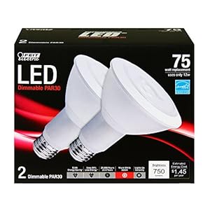Feit Electric PAR30LLEDG62
