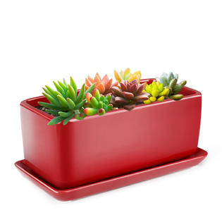 CE Compass CRM_POT_RED_10IN 10" Rectangular Ceramic Succulent Planter