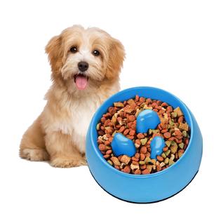 CE Compass Slow Feeder Dog Bowl, Anti-Gulping Dog Puzzle Bowl