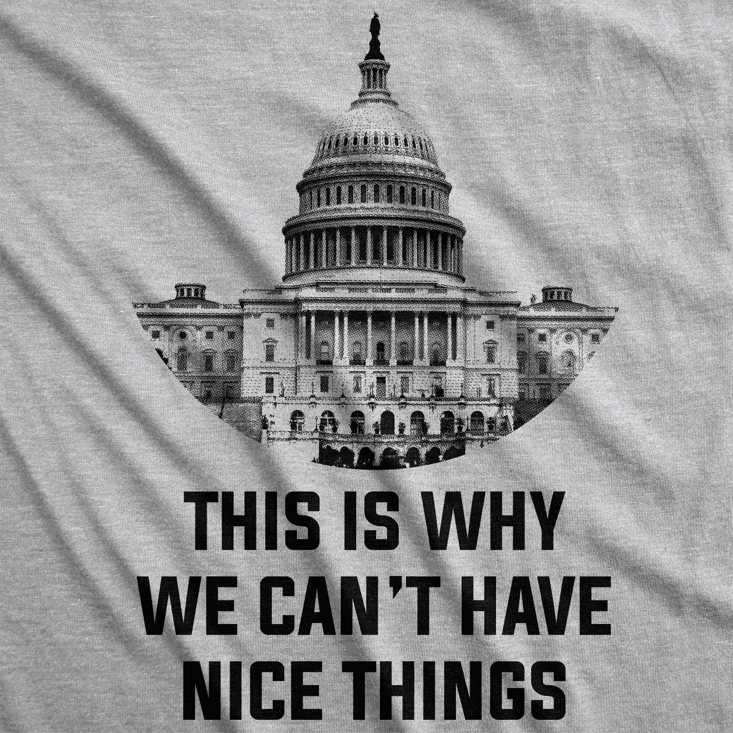 Crazy Dog Tshirts This Is Why We Can't Have Nice Things T Shirt Funny Anti Capitol Political Tee