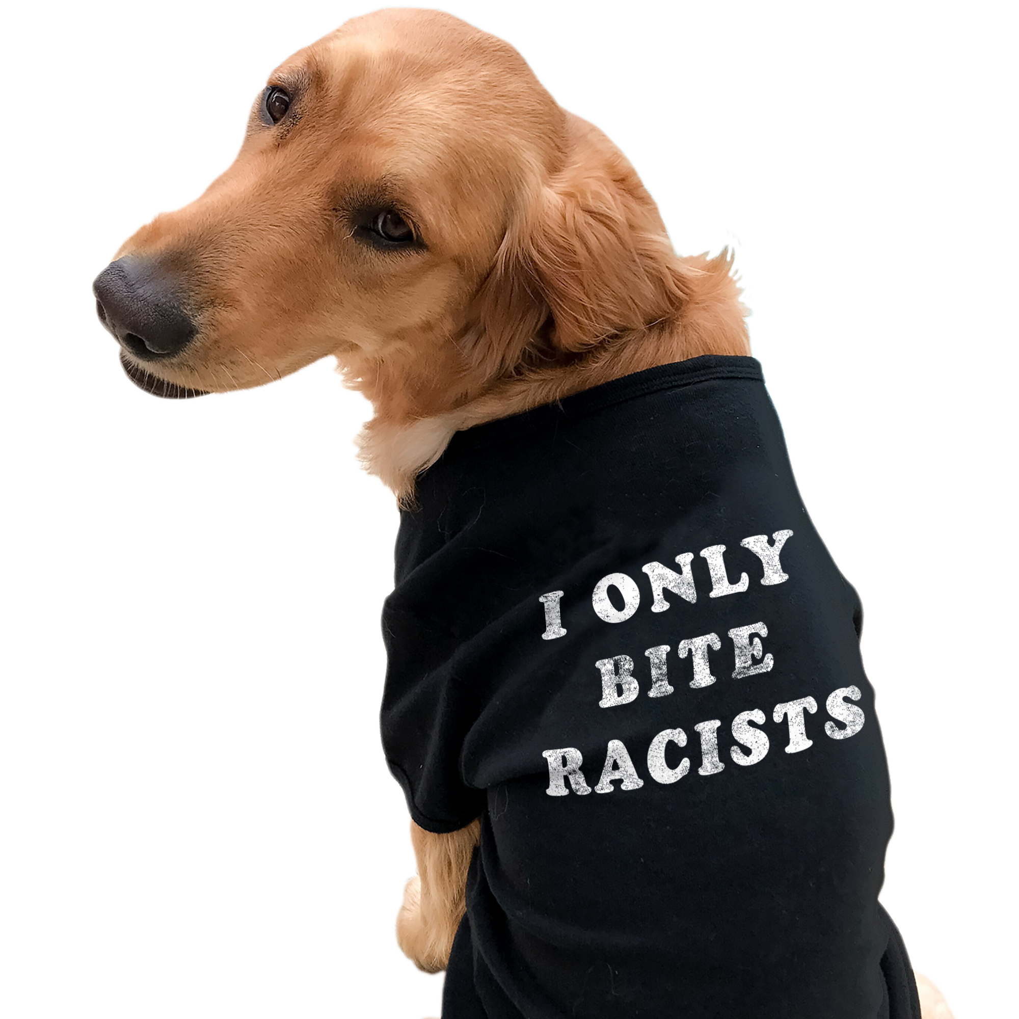 Crazy Dog Tshirts I Only Bite Racists Dog Shirt Funny Black Lives Matter BLM Protest Graphic Novelty Tee