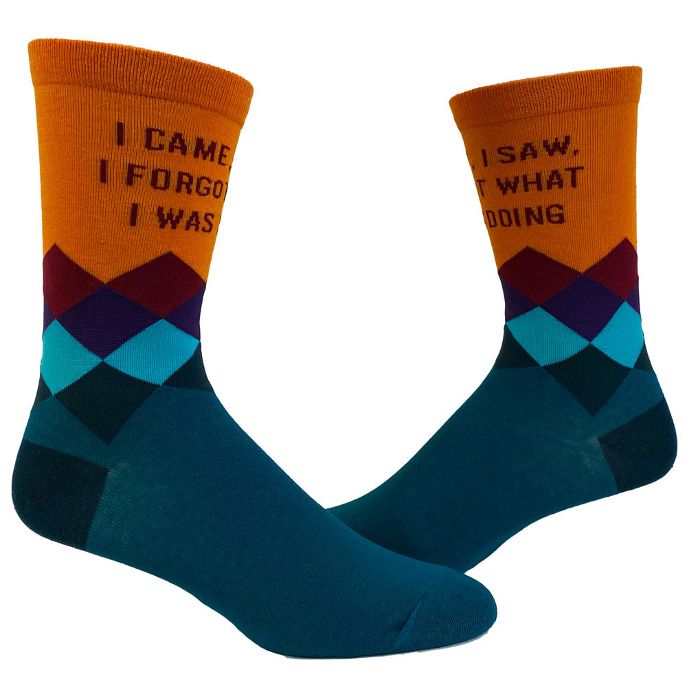 Crazy Dog Tshirts Women's I Came I Saw I Forgot What I Was Doing Socks Funny Introvert Sarcastic Graphic Novelty Footwear