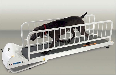 GOPET PetRun PR725 Dog Treadmill