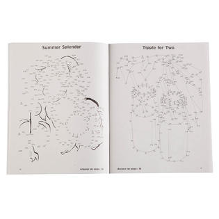 Fox Valley Traders Brain Games Large Print Dot To Dot Set 5