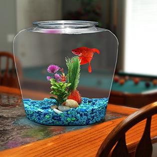 Koller Products 2 Gallon Fish Bowl - Impact-Resistant Plastic, Clear  (BL20VPET)