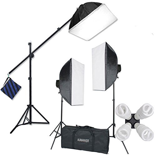 StudioFX H9004SB2 2400 Watt Large Photography Softbox Continuous Photo Lighting Kit 16" x 24" + Boom Arm Hairlight with 