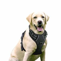 rabbitgoo Dog Harness, No-Pull Pet Harness with 2 Leash Clips, Adjustable Soft Padded Dog Vest, Reflective No-Choke Pet Oxford V