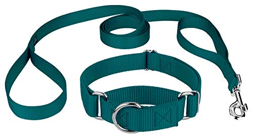 Country Brook Design Country Brook Petz - Martingale Heavyduty Nylon Dog Collar and Double Handle Leash - Teal - Small