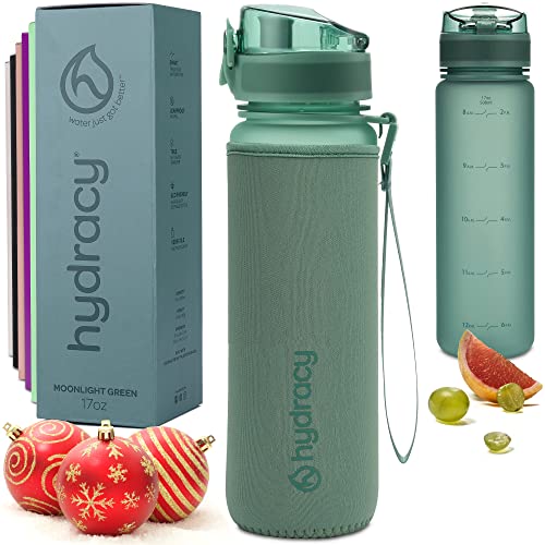 Hydracy Water Bottle with Time Marker - 500 ml 17 Oz BPA Free Water Bottle - Leak Proof & No Sweat Gym Bottle with Fruit Infuser