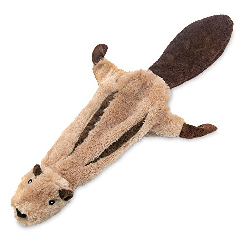 Best Pet 2-in-1 Fun Skin Stuffless Dog Squeaky Toy by Best Pet Supplies - Squirrel, Small