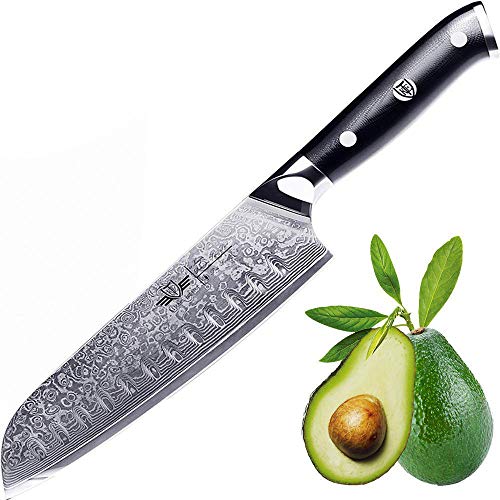 Kitchen Emperor 7 inch Santoku Knife, Professional Kitchen Knife, Premium 67 Layers Damascus Steel Knives with Comfortable G10 H