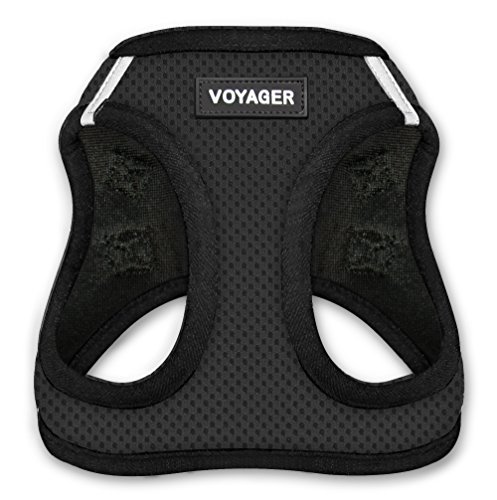 Best Pet Voyager Step-In Air Dog Harness - All Weather Mesh Step in Vest Harness for Small and Medium Dogs by Best Pet Supplies - Black,