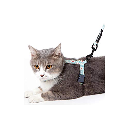 Touchcat Radi-Claw Durable Cable Cat Harness And Leash Combo, Small, Pink