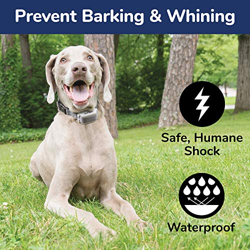 Freespirit Free Spirit Dog Bark Collar – Lessens Barking With 15 Automatic  Adjusting Levels For No Harm
