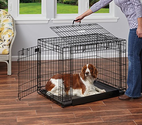 Midwest Homes For Pets Ovation Double Door Dog Crate, 36-Inch