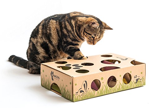 Cat Amazing CAT AMAZING – Best Cat Toy Ever! Interactive Treat