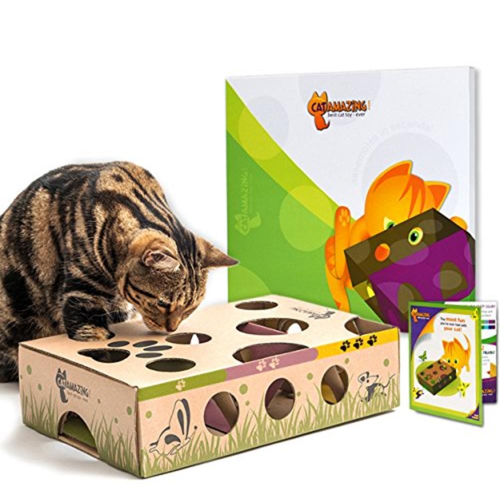 CAT AMAZING – Best Cat Toy Ever! Interactive Treat Maze & Puzzle Feeder for Cats