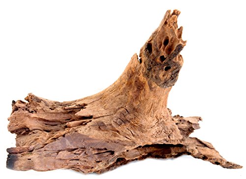 Super Moss SuperMoss (23296) Driftwood for Air Plants, Natural (Design may vary) (11”-13”)