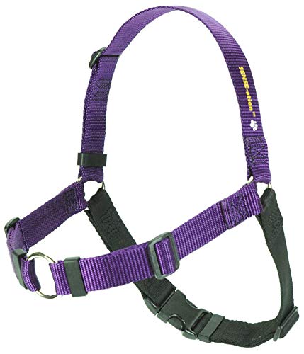 Softouch Sense-ation No-Pull Dog Harness - 1" Medium/Large